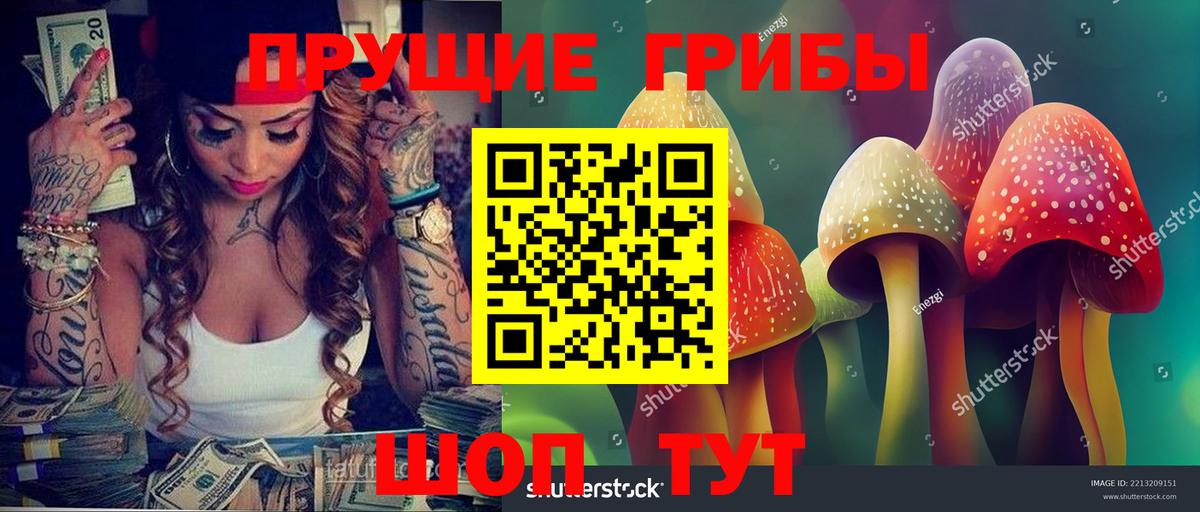 Галлюциногенные грибы мицелий  Галлюциногенные грибы Psilocybe  Костомукша  Вход с VPN 